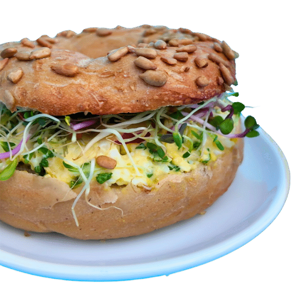 Organic Egg Bagel (Vegetarian)